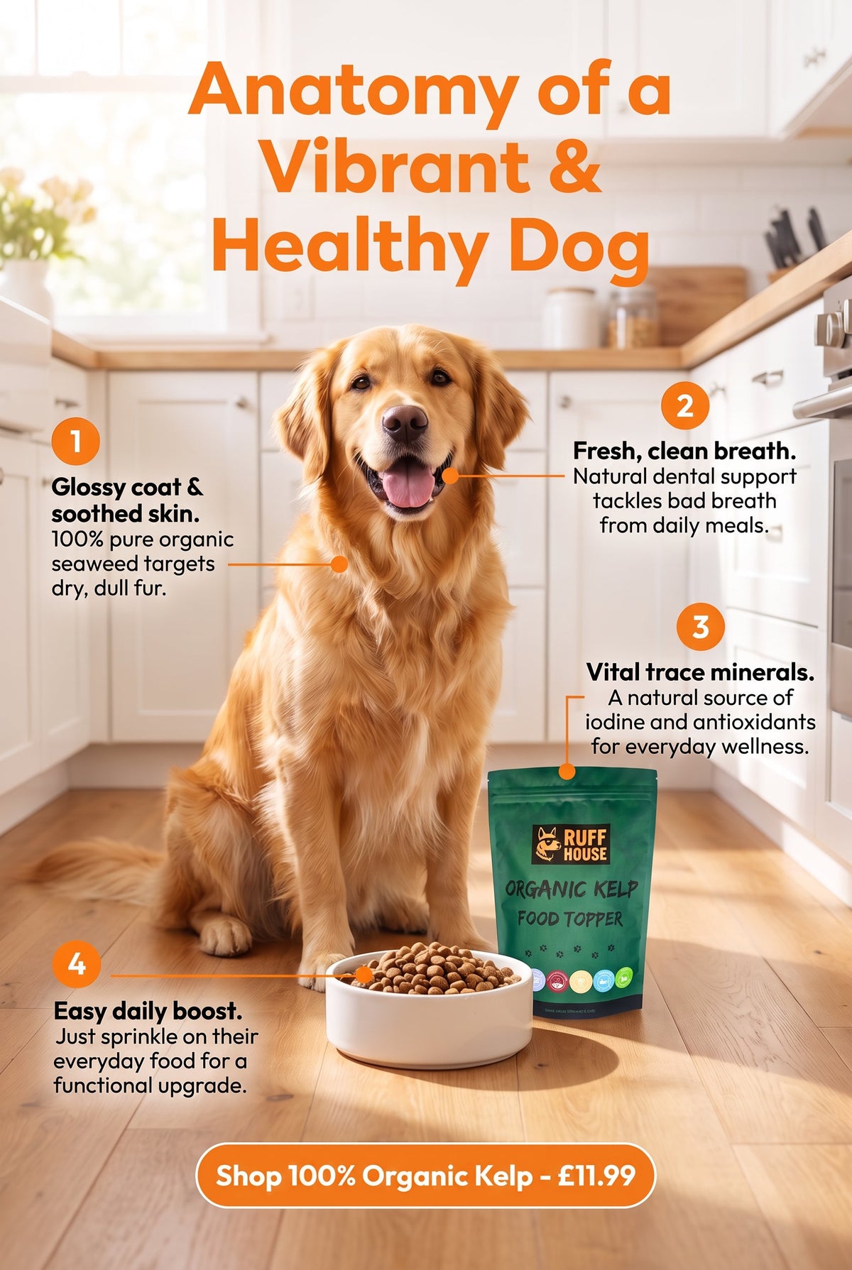 Ruffhouse Organic Kelp Dog Food Topper – Mineral‑Rich Skin, Coat & Dental Support – 100% Pure Seaweed (200g)