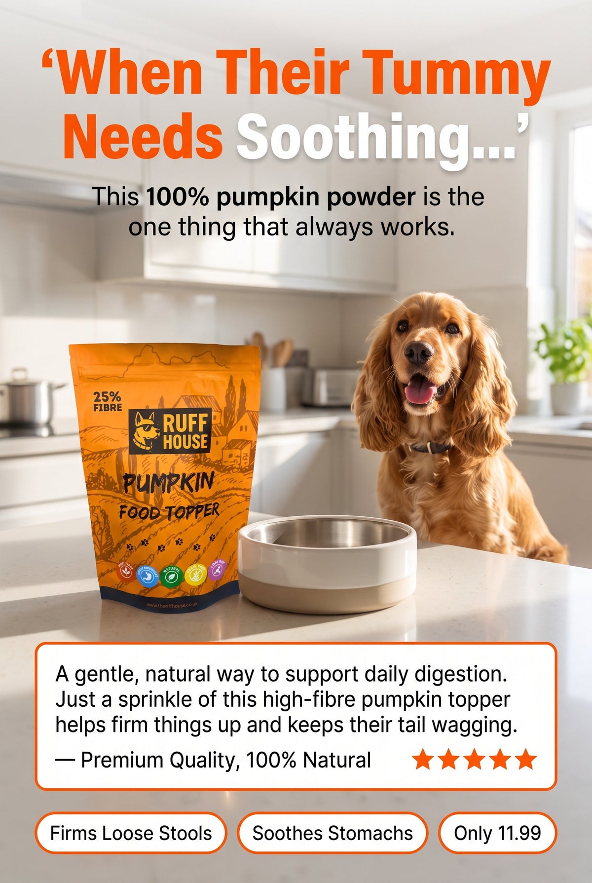 Ruffhouse Pumpkin Dog Food Topper – Natural High Fibre Digestion Support – 100% Pumpkin Powder (200g)