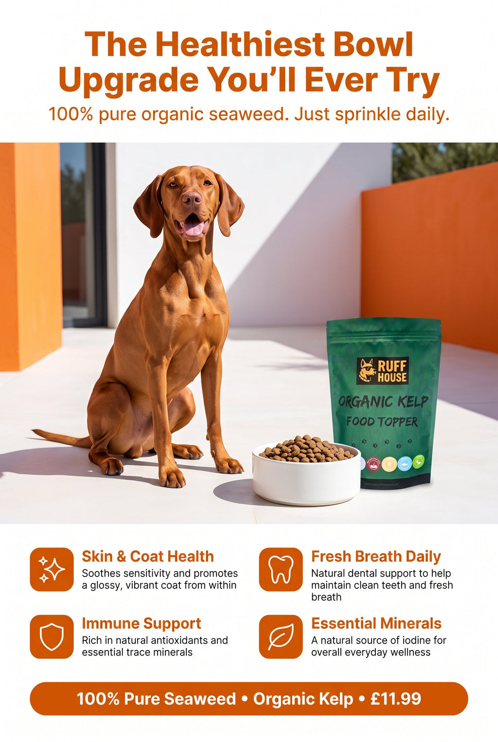 Ruffhouse Organic Kelp Dog Food Topper – Mineral‑Rich Skin, Coat & Dental Support – 100% Pure Seaweed (200g)