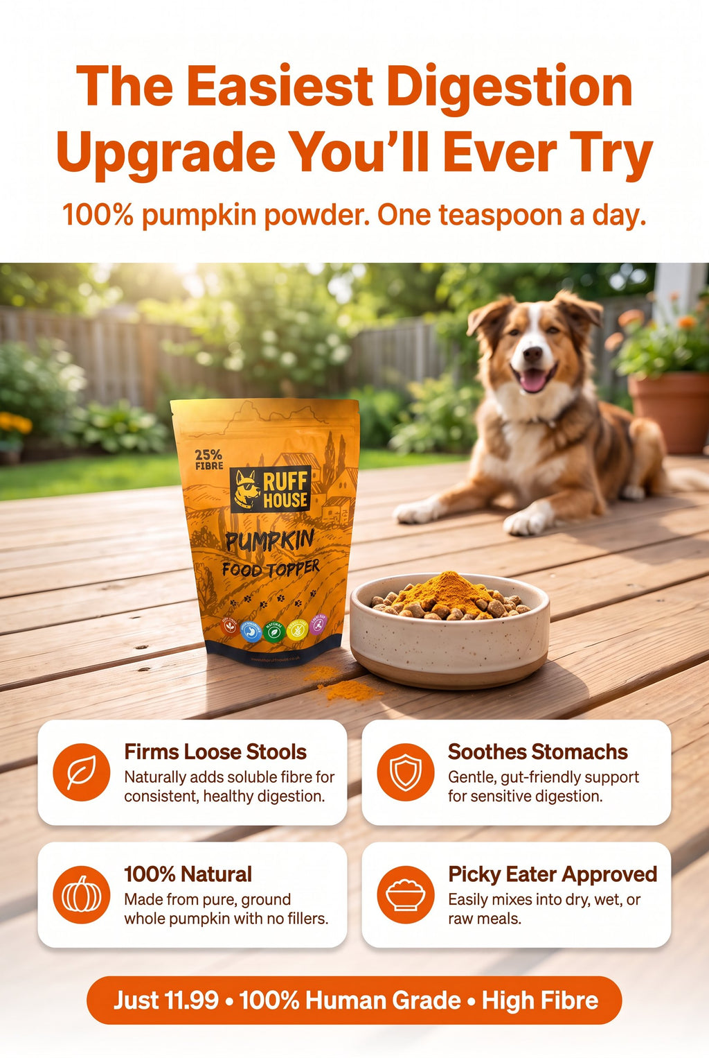 Ruffhouse Pumpkin Dog Food Topper – Natural High Fibre Digestion Support – 100% Pumpkin Powder (200g)