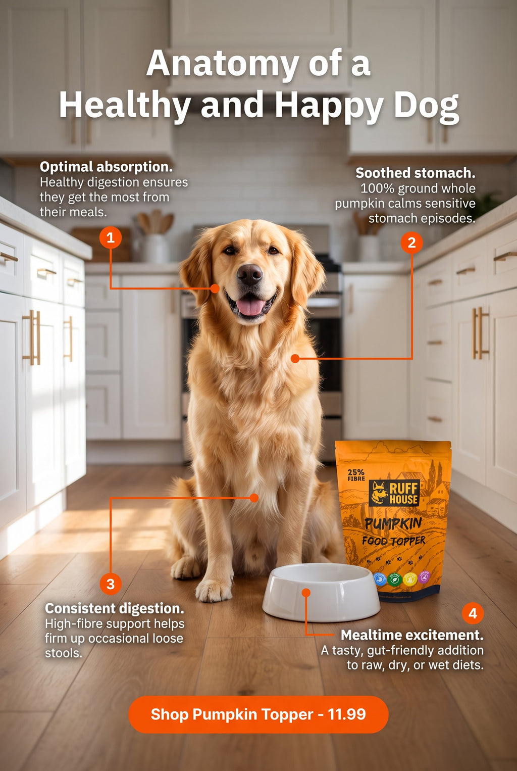 Ruffhouse Pumpkin Dog Food Topper – Natural High Fibre Digestion Support – 100% Pumpkin Powder (200g)