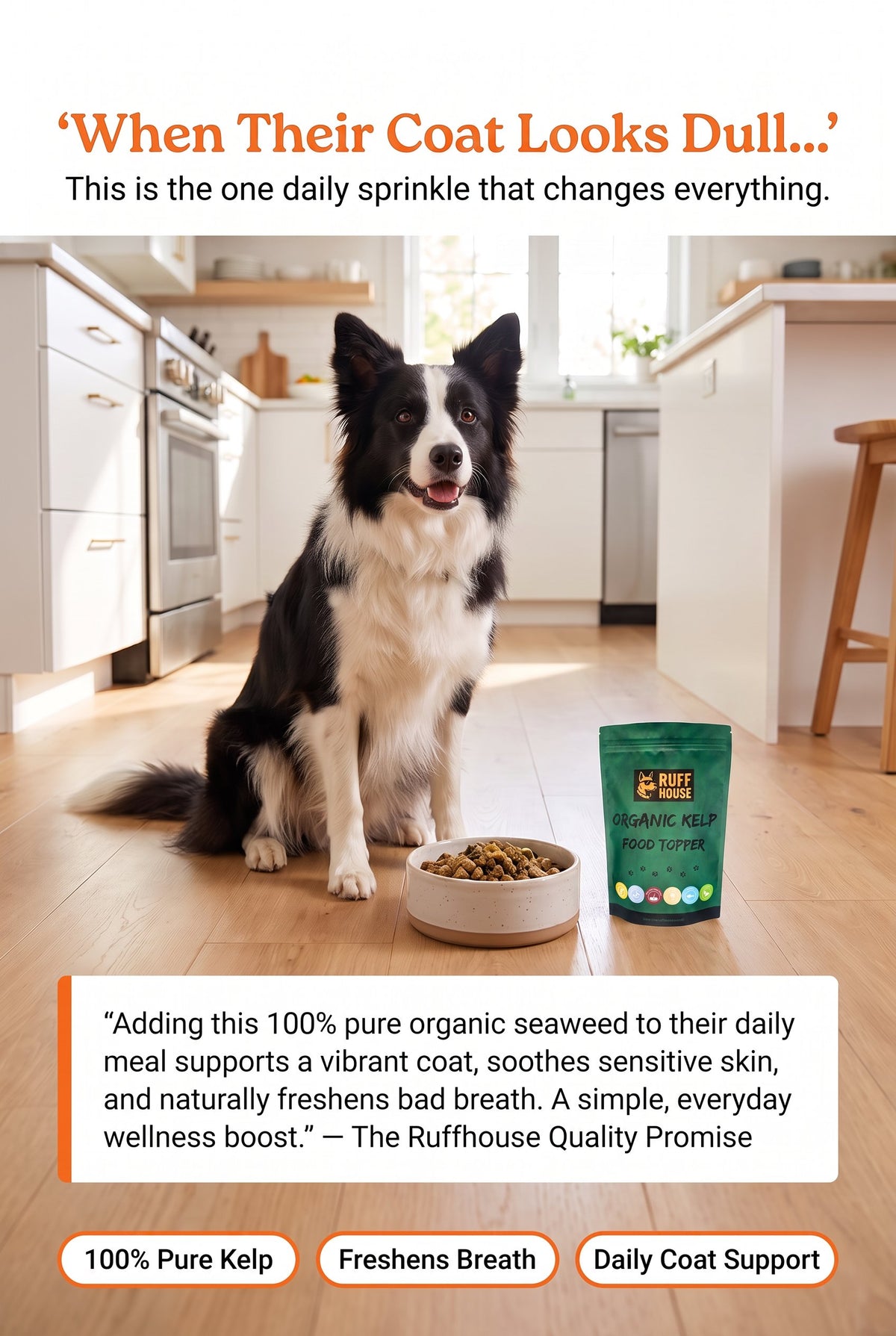 Ruffhouse Organic Kelp Dog Food Topper – Mineral‑Rich Skin, Coat & Dental Support – 100% Pure Seaweed (200g)