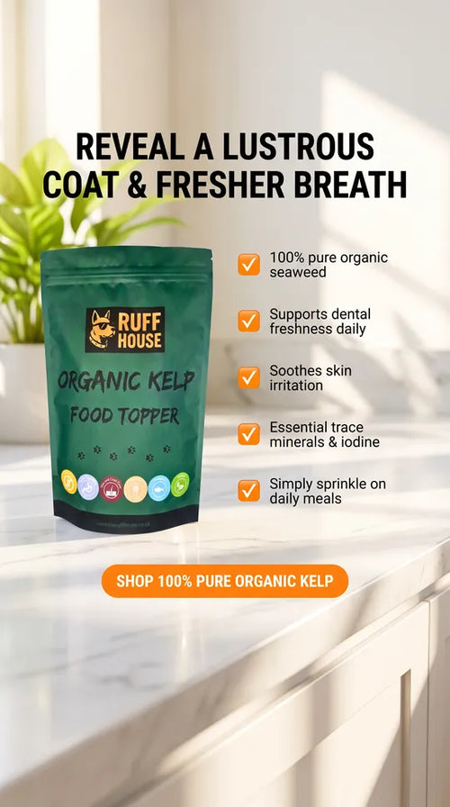 Ruffhouse Organic Kelp Dog Food Topper – Mineral‑Rich Skin, Coat & Dental Support – 100% Pure Seaweed (200g)