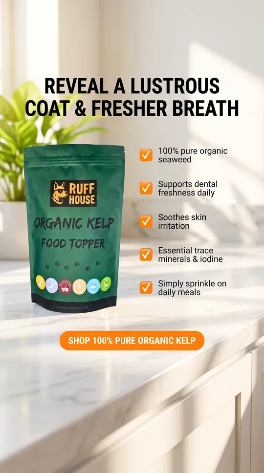 Ruff House Organic Kelp Food Topper shown in a bright setting with the green pouch and benefit text highlighting dental freshness, skin support, essential minerals and daily meal use.